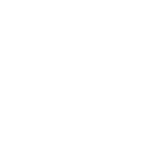 Immerion Casino